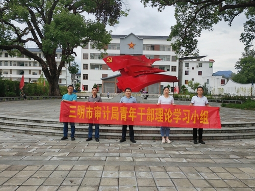 外出审计组组织青年理论学习小组活动.jpg